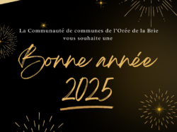Meilleurs vœux 2025