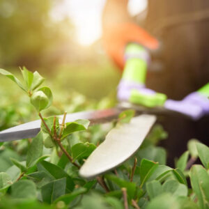 Jardins par Nature