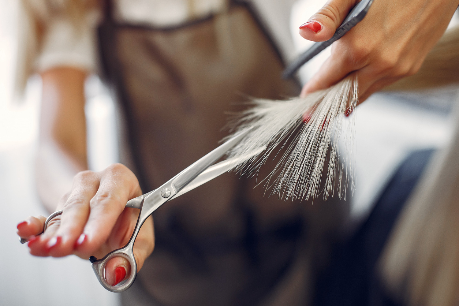 image d'illustration pour salon de coiffure