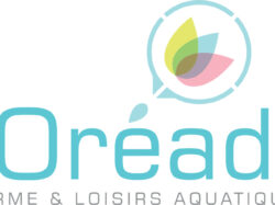 Equalia forme et recrute des Maîtres-Nageurs Sauveteurs en alternance